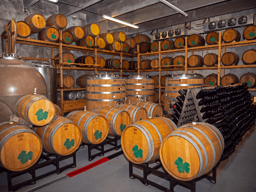 winery_barrels.png